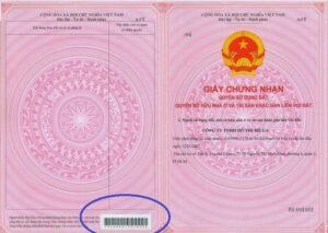 cách phân biệt sổ thật sổ giả