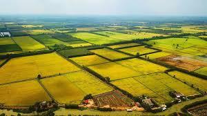 có nên mua đất ruộng để đầu tư