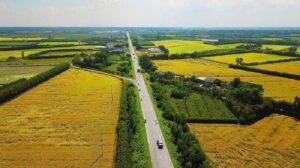 có nên mua đất ruộng để đầu tư
