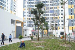 nhà ở xã hội cấp cho ai