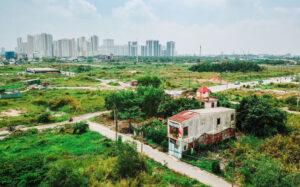 phần thô và hoàn thiện