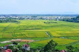 chi phí chuyển mục đích sử dụng đất
