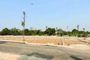 dự báo giá đất miền Nam