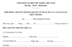 hợp đồng mua bán nhà đất giả