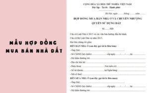 mẫu hợp đồng mua bán nhà đất viết tay