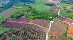 phí cập nhật thay đổi mục đích đất