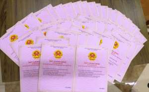 sổ hồng chung là gì