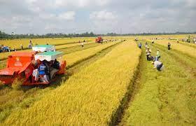 thuế khi chuyển nhượng đất nông nghiệp