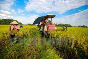 thuế khi chuyển nhượng đất nông nghiệp
